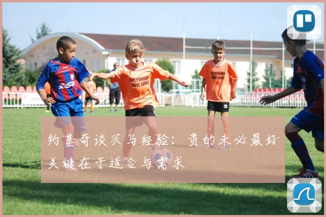 约基奇谈买马经验：贵的未必最好关键在于适合与需求