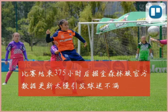 比赛结束375小时后掘金森林狼官方数据更新太慢引发球迷不满