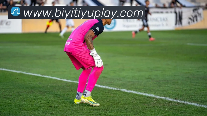 必一体育APP 封面图